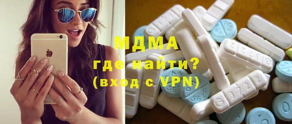 индика Богородск