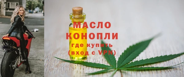 индика Богородск