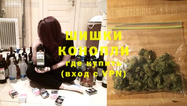 PSILOCYBIN Белокуриха