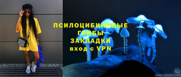 МДМА Снежногорск