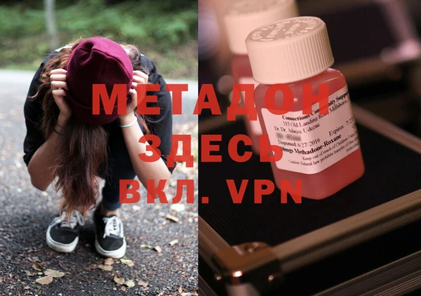 PSILOCYBIN Белокуриха