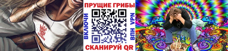 Псилоцибиновые грибы прущие грибы  дарнет шоп  Чегем 
